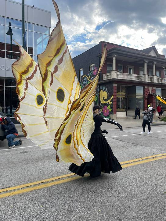 A sole butterfly floats by.