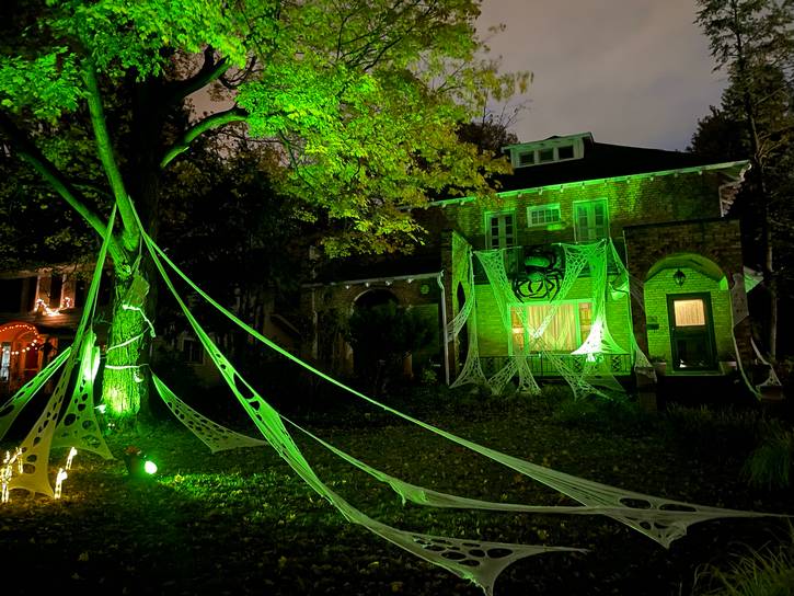 Cobwebs and spiders.