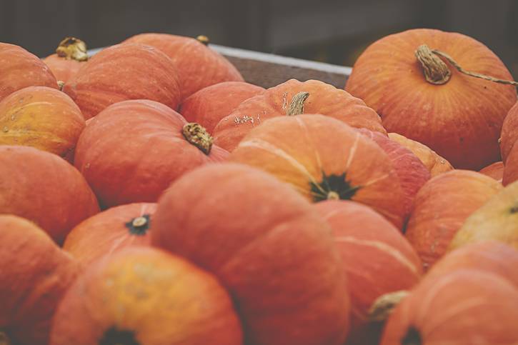 The South Euclid Giant Eagle and the Mayfield and Green Marc's will give out free pumpkins.