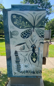 "Local Insects and Plants" by Katie Clark