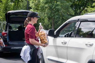 A volunteer hauls a large bag of potatoes to a waiting car.