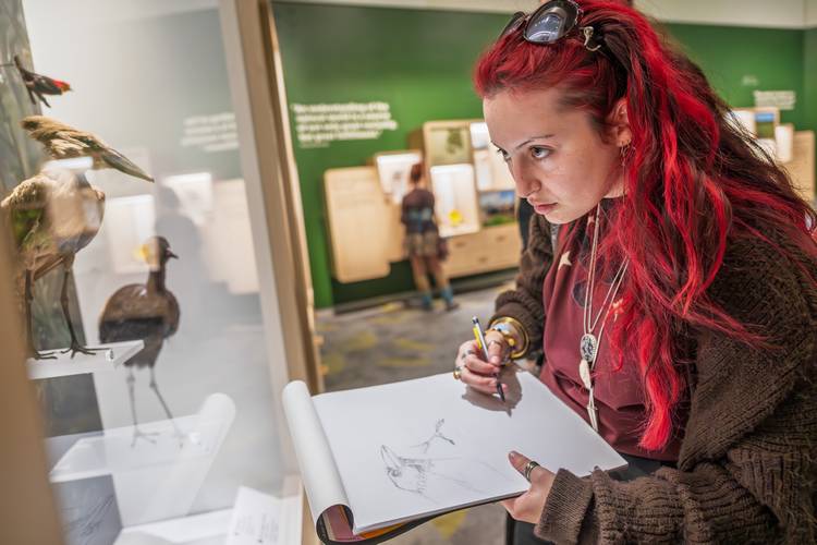 A student working on her avian biomimicry project.