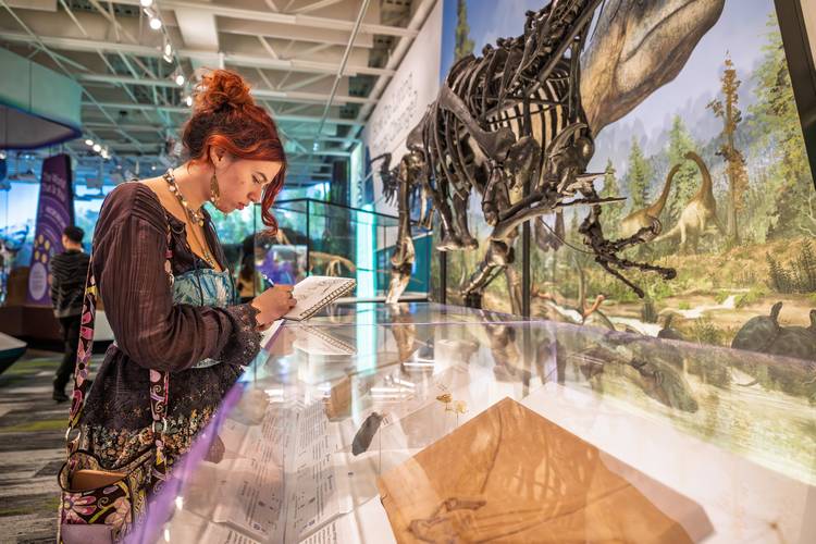 A KSU School of Fashion student sketches at CMNH.