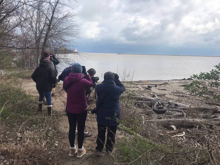 The CMNH iNaturalist team recently participated in the 2026 City Nature Challenge.