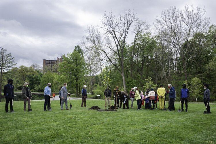 The planting on a Jesse Owens oak sapling clone in 2021 at Rockefeller Park.