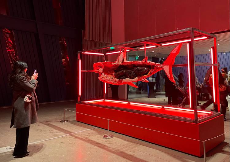 KING COBRA's 'When You are Between the Devil and the Deep Blue Sea.' greets guests at moCa Cleveland's the 2026 season opening.