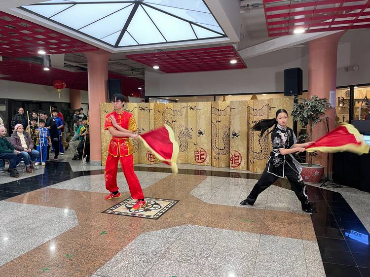 Students and masters from Great Wall Kung Fu Center demonstrate their skills.