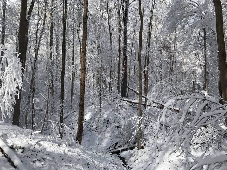 Sustainable Economies empowers organizations like Cleveland Museum of Natural History to create positive change in places like the Grand River Terraces.