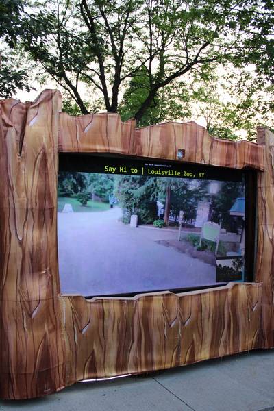 One lantern provides a live, interactive view into the Louisville Zoo,
