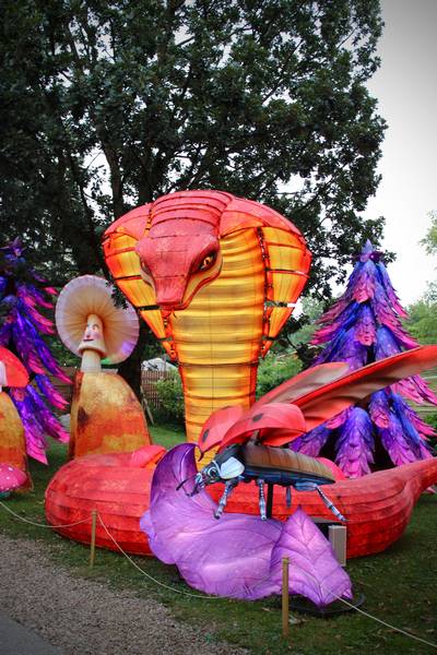 When a button is pressed, an animatronic cobra is activated. It talks to the ladybug lantern below, while moving and blowing smoke out of its nostrils.