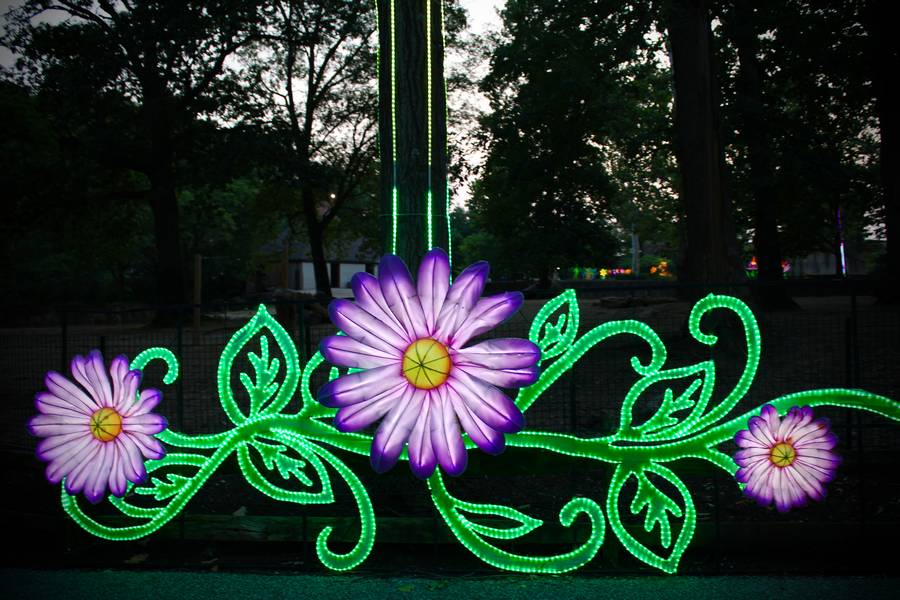 LED lights pair with the lanterns to create a vibrant decoration along the fence.