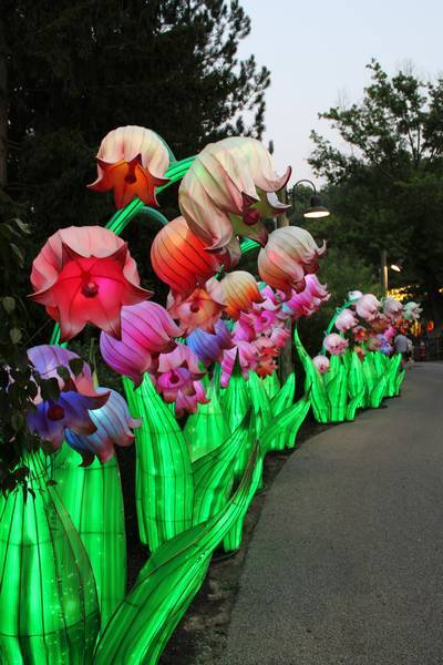 Lily of the valley lanterns are designed to change color.