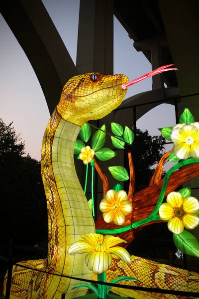 A yellow snake lantern towers above visitors while its tongue moves back and forth.