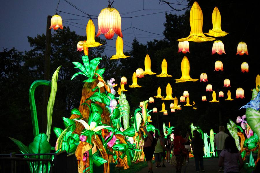 Guests walk under a breathtaking display of flower lanterns, which hang over the African animal section of the lantern festival.