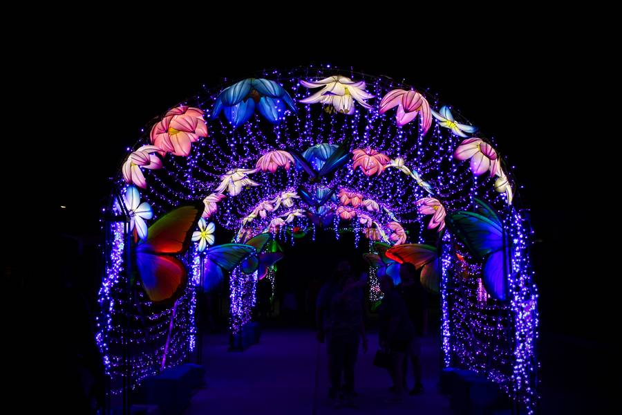 The entrance and exit of the Asian Lantern Festival is the perfect photo op!