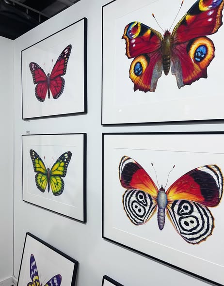 Cleveland artist Brian Asquith's watercolor butterflies.