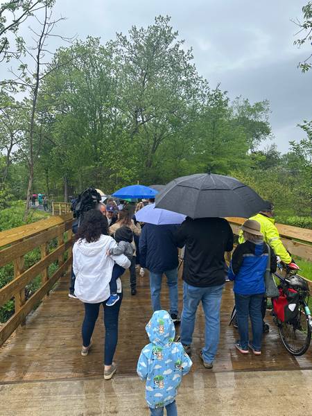 People huddle under umbrellas for the Metroparks West Creek Reservation in Parma for the West Creek Greenway trail ribbon cutting.