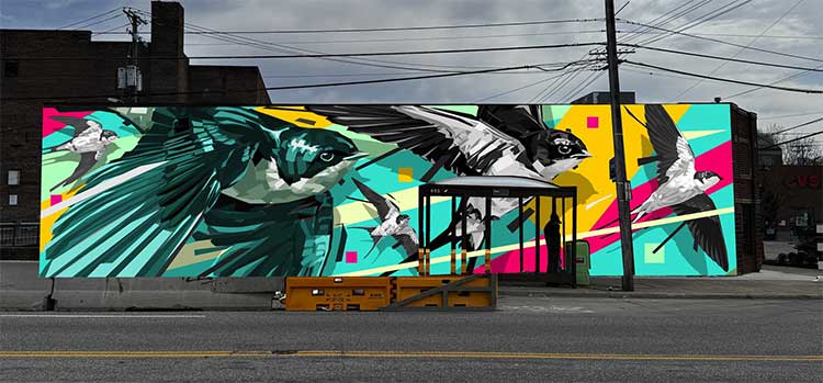 Muralist Arlin Graff's Swallow mural rendering.