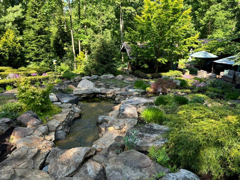 A water feature in a naturalized garden.