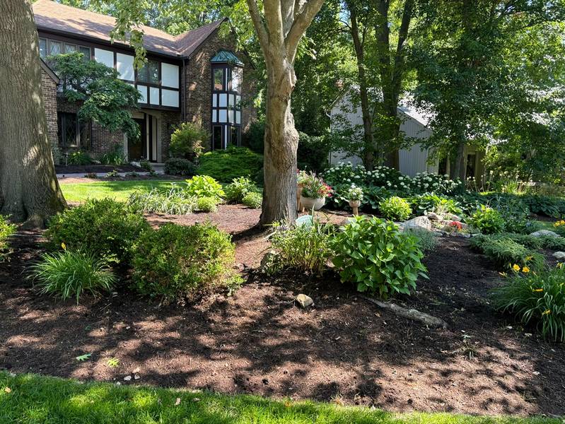 A suburban garden