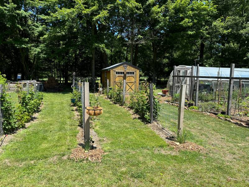 A scene at the gentleman's farm—a farm operated as a diversion for a person of wealth.