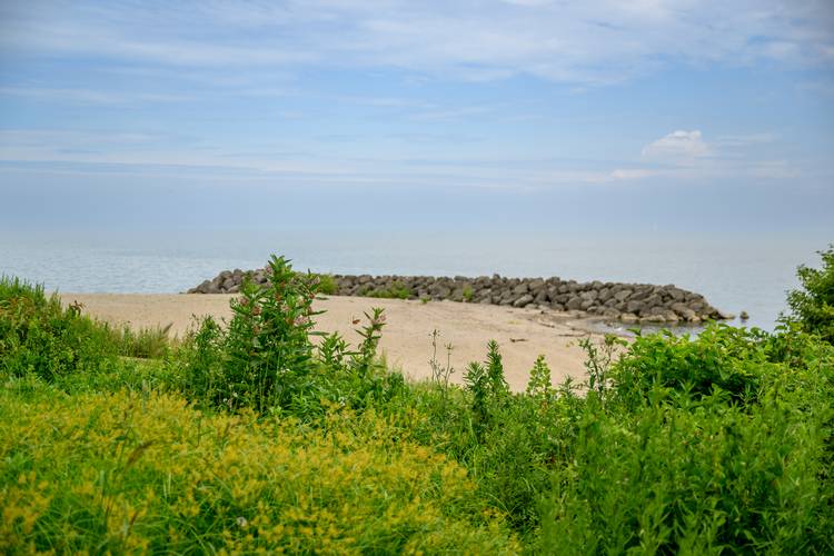 Sims Park