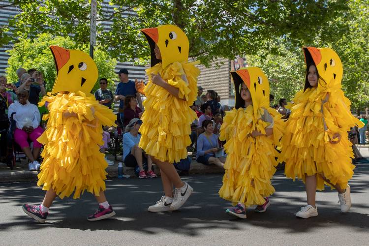 Chicks on parade.
