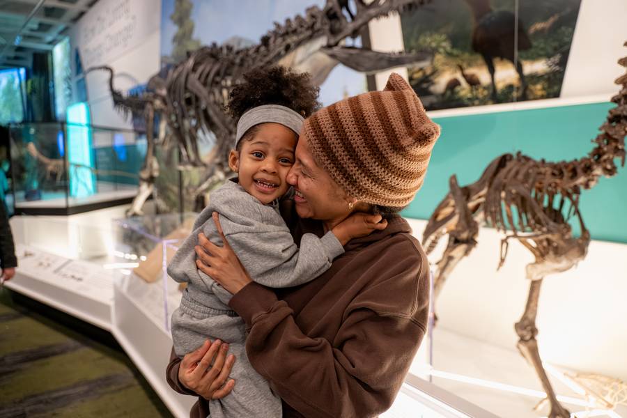 Museum Family Day: Dino Day on Sunday, May 31 will be prehistoric fun for everyone.