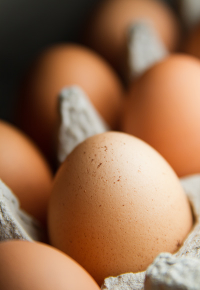 18Egg-Close-Up.jpg