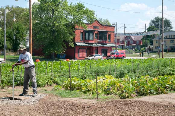 Cleveland Crops Community Garden