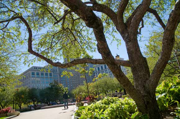 Cleveland Public Square