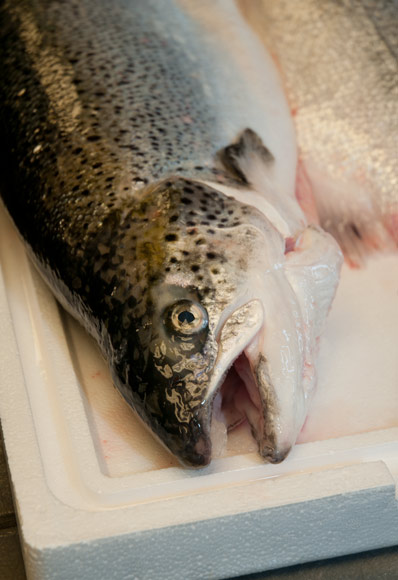 Catanese Classic Seafood