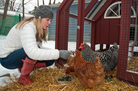 trattner_chickens_090.jpg