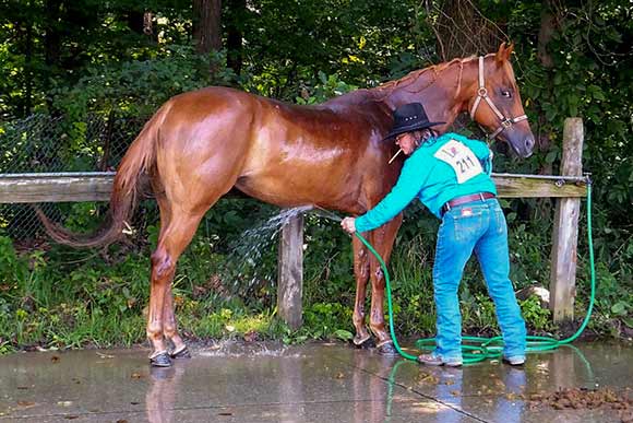 Gay Games Rodeo - Photo Erin O'Brien