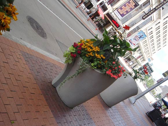 planters-erin.jpg