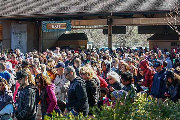 Cleveland Foundation Day at Cleveland Metroparks Zoo in April