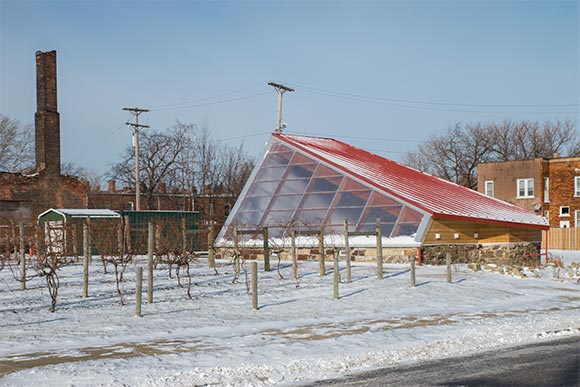 The Biocellar of Château Hough