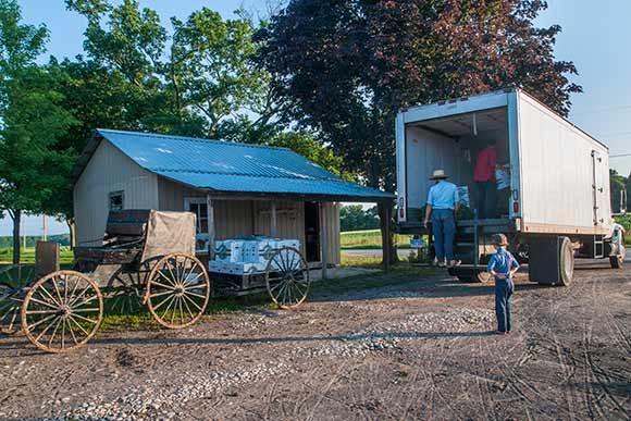 Fresh Fork Market - picking up produce at  a farm south of Cleveland