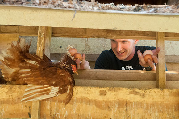 Fresh Fork Market produce supplier Wholesome Valley Farm