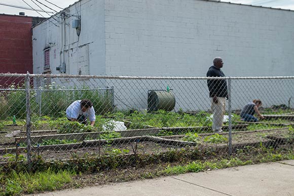 Urban gardening on E 23rd St