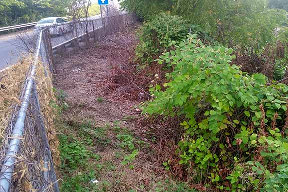 West 44th looking west, the narrowest part of the RLG but it’s still wide enough to have a trail