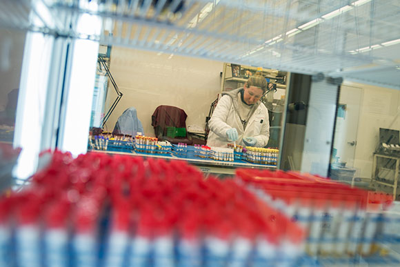 Manufacturing and engineering companies in bio-engineering, are ensuring new job opportunities