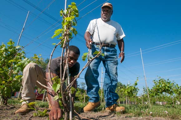 Mansfield Frazier of Vineyards of Chateau Hough