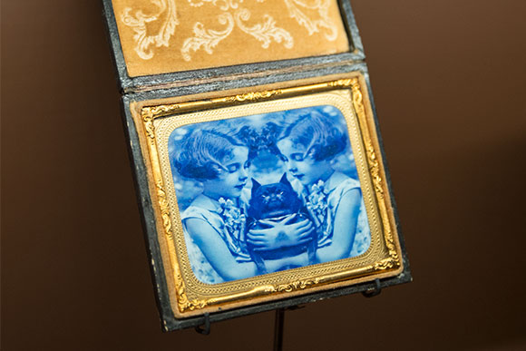 The Beautiful Mutants- part of the Myopia exhibit at the Akron Art Museum