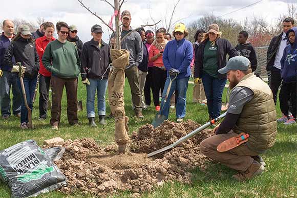 Tree Steward Training at Saint Luke's