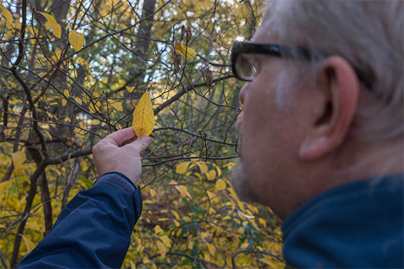 Douglas Paige observing nature's design in the Metorparks