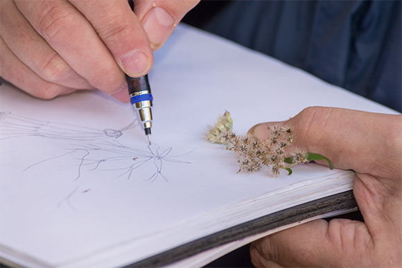 Douglas Paige making a sketch in his field notebook