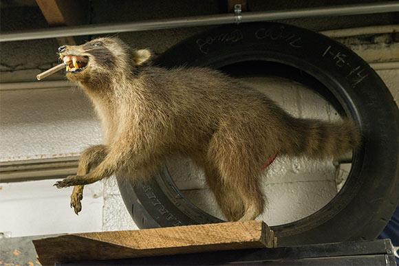 One of the "strange" mascot decorations at Strange Cycle