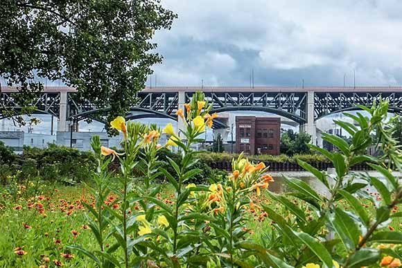 Views along the Scranton Flats