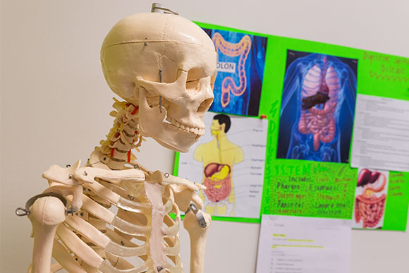 Phlebotomy Technician Program at NewBridge Cleveland